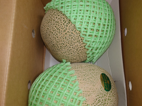 茨城県産 イバラキング L 6個 メロン 9693-37-