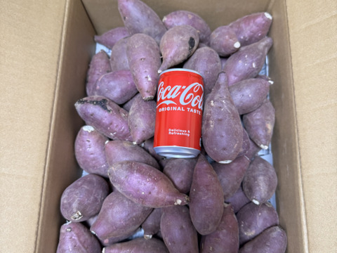 ねっとり甘い！熟成紅はるか　丸2Sサイズ　5kg さつまいも