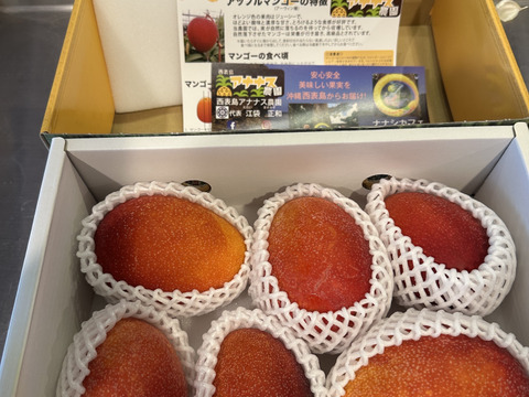 沖縄マンゴー2kg（規格不揃い） マンゴー 沖縄 秀品 JAおきなわ ギフト 完熟マンゴー 2kg (1箱2