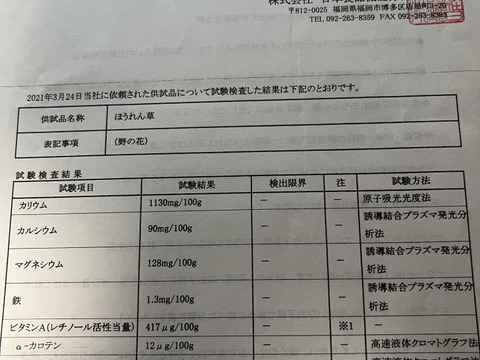 冬に咲く花『野の花』ほうれん草　6袋ほうれん草が苦手な方、嫌いな方に是非食べてもらいたい。