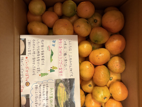 有田みかん【完熟ゆら早生】5kg（箱込）