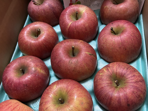 サンふじ7～12個入り３キロ🍎