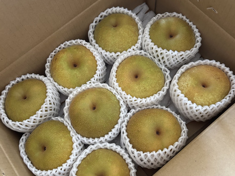 【幸水３ｋｇ】高原の「幸水」は硬さ、シャリ感、ジューシー、甘さが違う。⑧海藻エキス投与で、コクと旨味のある梨にグレードアップ！【秀品】