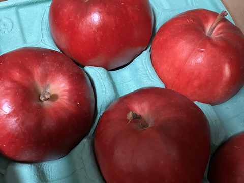 【完売】紅の夢 お菓子作りにオススメ！ 家庭用 2.3kg(6～12個)