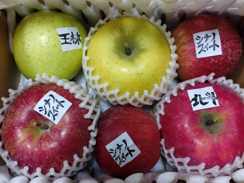 信州りんご🍎小玉約1.8キロ(10～15個)