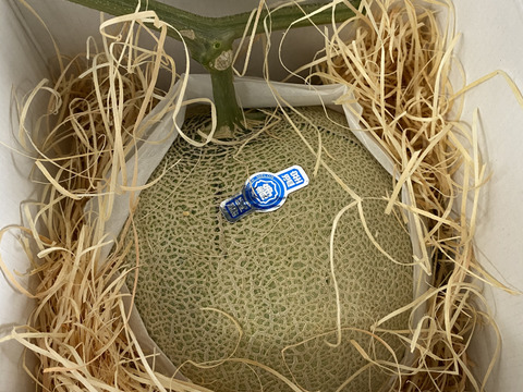 【夏ギフト】メロンの王様、静岡県産マスクメロン！！！（1玉1.8kg以上）1玉箱入り🍈
お中元/熨斗対応致します