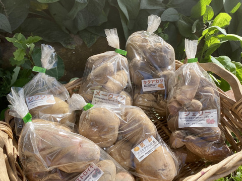 八ヶ岳産じゃがいもバラエティーセット６種