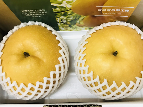 糖度ピークです‼️【大きさにも美味しさにもびっくり‼️】新高梨(2-4個入)贈答用約2.5kg✨️コロコロ梨工房の自信作‼️甘くてとってもフルーティー✨️鮮度を保つ為クール便で発送します🚚