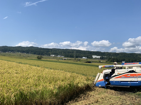 令和6年新米！！新米といえばコレ‼️魚沼産コシヒカリ5キロ（玄米）