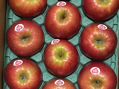 発送中🍎 ピンクレディ®︎3キロ箱  長野県 信州 安曇野 リンゴ 幻 幻のリンゴ 予約 希少 旬 6玉〜16玉サイズ 商品ID42100 ピンクレディー