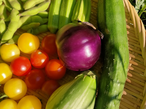 【農薬・肥料・除草剤等不使用】自然栽培☆固定種・在来種☆旬のおまかせ野菜セット8種以上