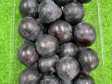 淡路島の恵み！やまだふぁーむの超甘いナガノパープル！パック売り！1パック600g！