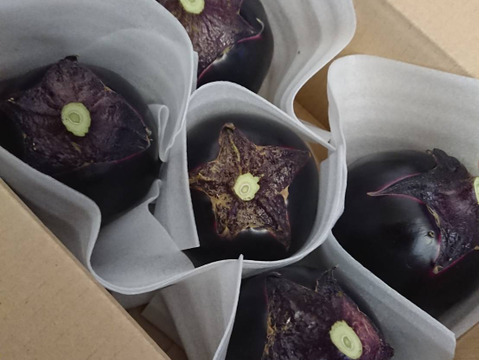 【まてぃ様専用】越の丸なす2キロ（4～5個）、干しぜんまい、干しわらび　セット