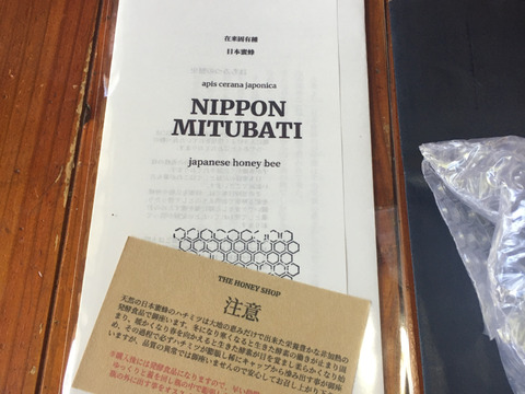 【福袋】天然日本蜜蜂のハチミツ　150g花粉蜜　贈答用/【the gift 】（ギフトボックス入り）