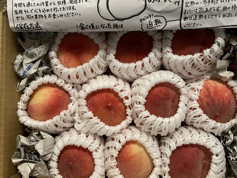 ご家庭用　桃　あかつき　小玉　約2kg 数量限定