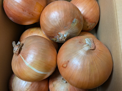 【野菜ソムリエサミット金賞🏆】淡路島玉ねぎ3kg