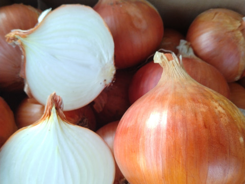 加熱でトロトロ！『ケル玉』L~２L　５キロ