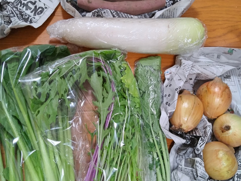 👑2年連続アワード受賞👑【未来をつくる笑み野菜】宮崎県産☆季節のお野菜セットM(8～9品程度)☆