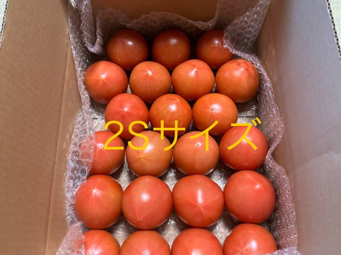 昔ながらのトマト🍅８０サイズ箱詰め(2S玉)