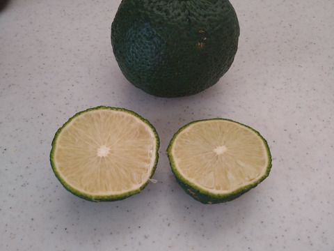 じゃばら果汁150ml 3本セット