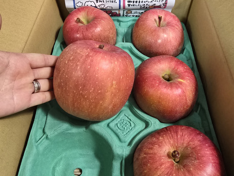 大玉から順に発送‼️とことん味にこだわりました💪😊🍎青森県産葉取らず完熟ふじ約6kg家庭用‼️