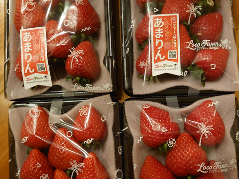 【完熟プレミアムいちご】あまりん２５０ｇ×２パックーDXパックー
