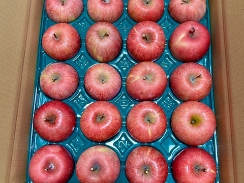 農家直送　家庭用サンふじりんご５kg（１２～２０玉）