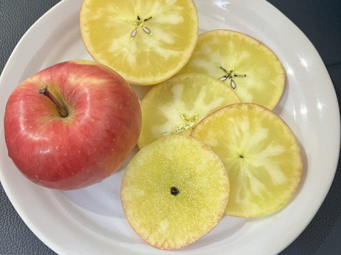 青森県産りんご　葉とらずりんご　高徳（こうとく）りんご　訳アリ【3㎏　8～12個入り】