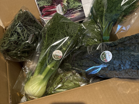 お料理の幅が広がる！季節の西洋野菜Italian selection 80サイズ