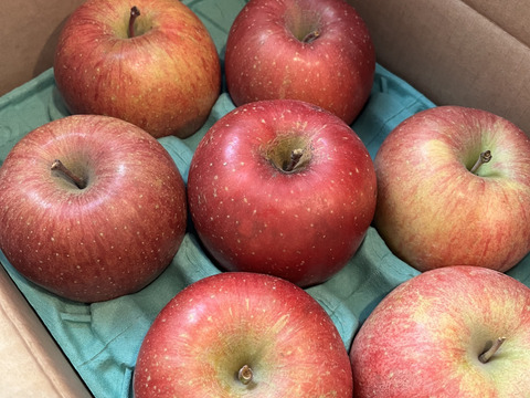 【夜市限定】大玉から順に発送‼️とことん味にこだわりました💪😊🍎青森県産葉取らず完熟ふじ3キロ。