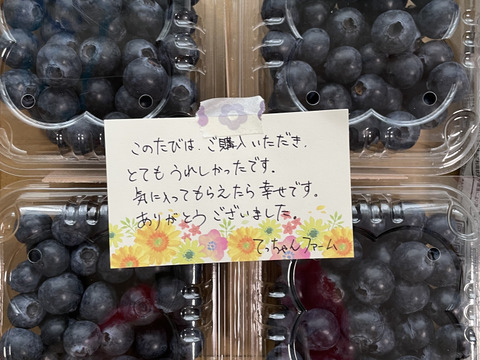 摘みたて 農薬不使用 千葉県産 生ブルーベリー 100g×4パック お