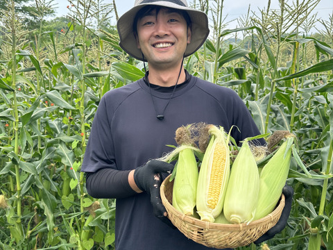 朝穫れ！プリあま大粒とうもろこし【農薬化学肥料不使用】2キロ6本