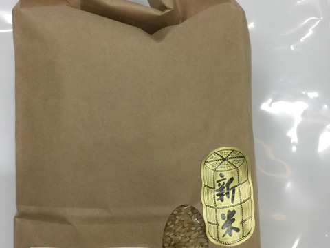 令和5年産 石川県産 ミルキークイーン 玄米 2kg