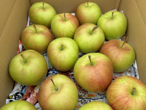 【希少品種】 夏緑(りんご) 14個入り　約3キロ