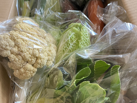 【7周年福袋】3000円福袋　温まる冬野菜でミネラル補充☆おまけ付きカラフル野菜セット