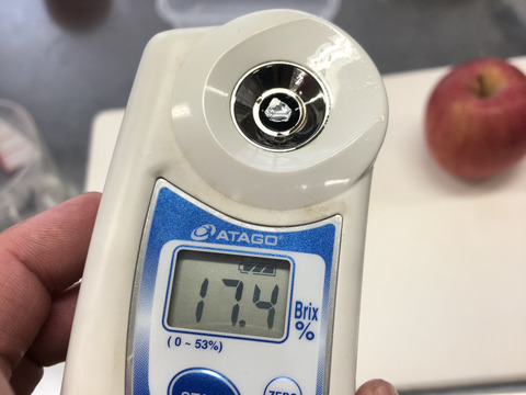 【雪中貯蔵予約用】雪中リンゴ  ふじ 家庭用 
約8〜10玉 3k 豪雪地帯限定商品 母の日 産直
