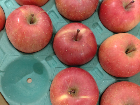 特選贈答★味濃い甘いｻﾝふじ★無肥料.農薬節約30%〜.除草剤.摘果剤.摘葉剤不使用★【5kg箱】
玉数指定不可/予約販売開始！/贈答用に是非！/りんご【冬ギフト】