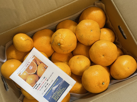 じゅ～し～ハルミみかん（中玉ミックス）５K箱