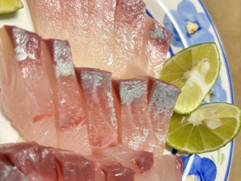 冷凍‼️血抜き済活け〆天然カンパチ！鮮度抜群！片身入り(2分の1)