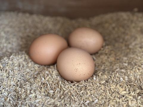 農薬不使用の野菜を食べて育った『ほっこり平飼いたまご』10×3　30個
