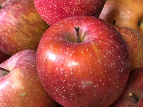 せとうち周防大島　りんごジャム