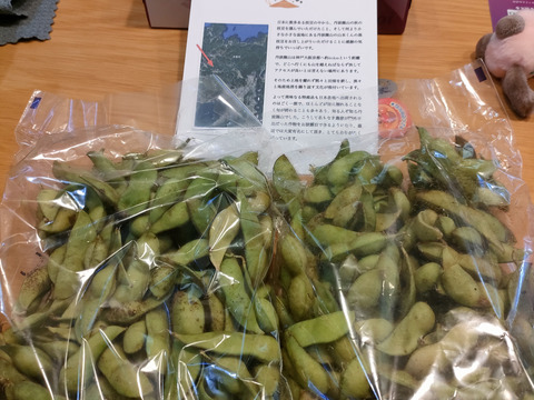 丹波篠山産黒大豆 訳ありB