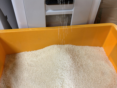 【中米(訳あり品)】【新米 令和７年産】富山県産コシヒカリ（精米）【ご家庭用・約9.5kg】（段ボール込み10kg）