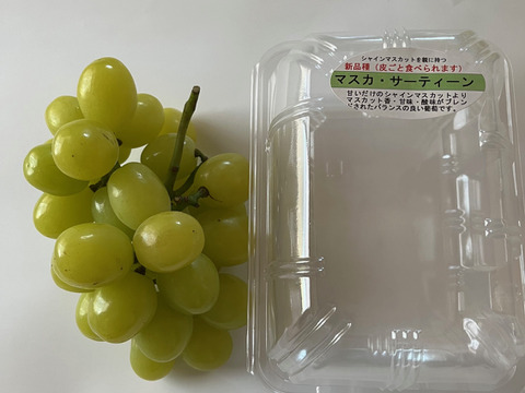 果汁たっぷり！（姉妹ぶどう）
マスカ・サーティーンとベルニーナビアンコ　
　1.0～1.2kg程度