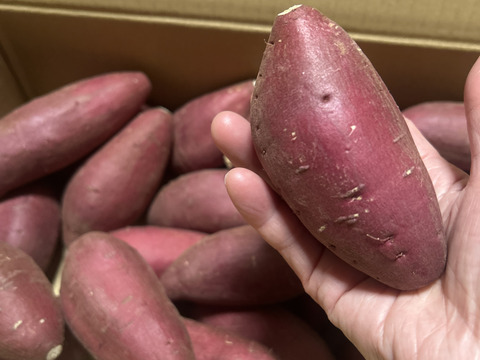 日本さつまいもサミット2023-2024最高栄冠受賞・髙鍋農園ブランド”おいしさの極み”紅琥珀スイート®は畑から収穫した天然スイーツ。上品な甘さが最高に美味しいスイーツ❗😋3㎏【阿蘇・西原産】