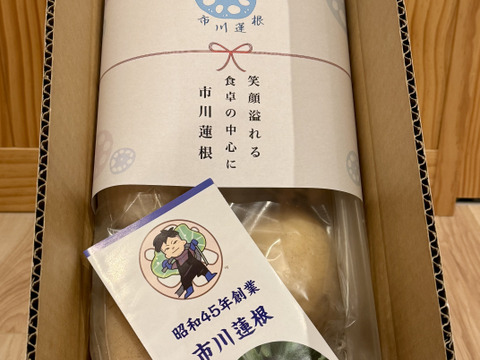 満点☆青空レストラン　茨城県土浦市ブランド認定品『市川蓮根』【２キロ】