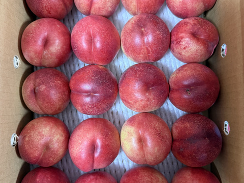 終盤❗️ネクもも🍑ハネージュ🍑3キロ箱　規格外　訳あり