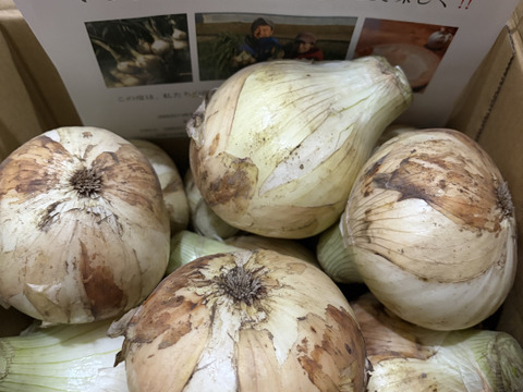 淡路島　 新玉ねぎ！3ｋｇ　みずみずしく、柔らか〜い！【ひょうご安心ブランド認証】特別栽培