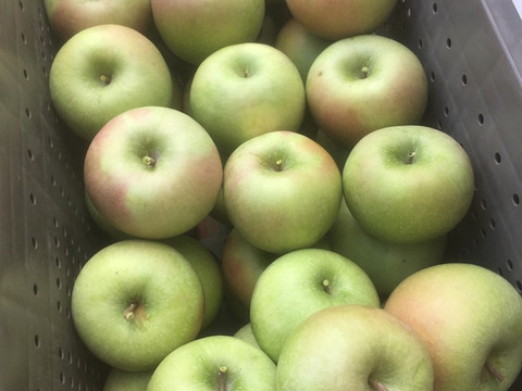 本格アップルパイにどうぞ 酸味のきいた青りんご グラニースミス自家用3キロ 長野県産 食べチョク 農家 漁師の産直ネット通販 旬の食材を生産者直送