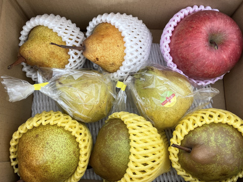 🍐洋梨ラフランス🍎ふじりんご 詰め合わせ 2kg箱まんぱい詰め (2〜4種) ギフト 【冬ギフト】